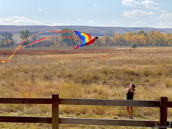 602 Charles St, Superior, CO 80027