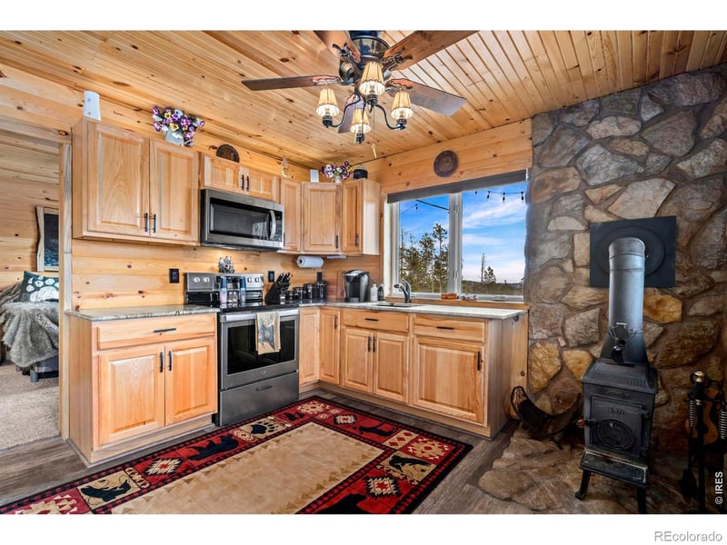 104 Atakapa Ct, Red Feather Lakes, CO 80545