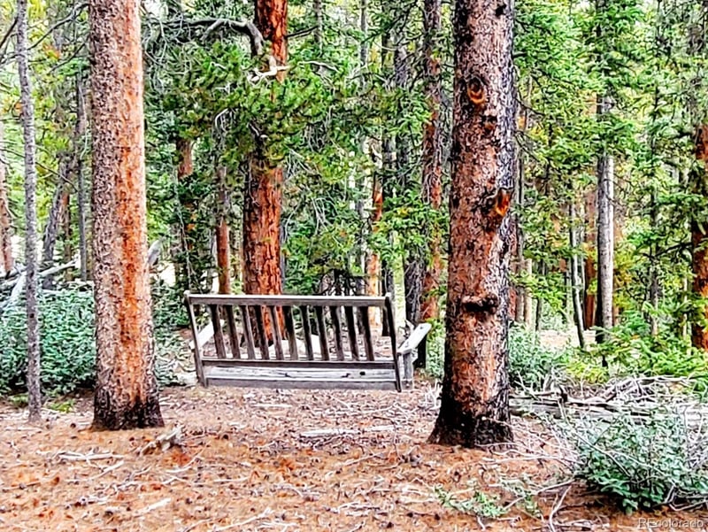 211 Pine Ridge Rd, Alma, CO 80420