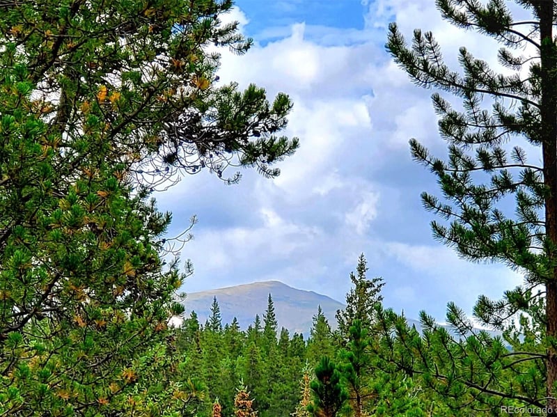 211 Pine Ridge Rd, Alma, CO 80420