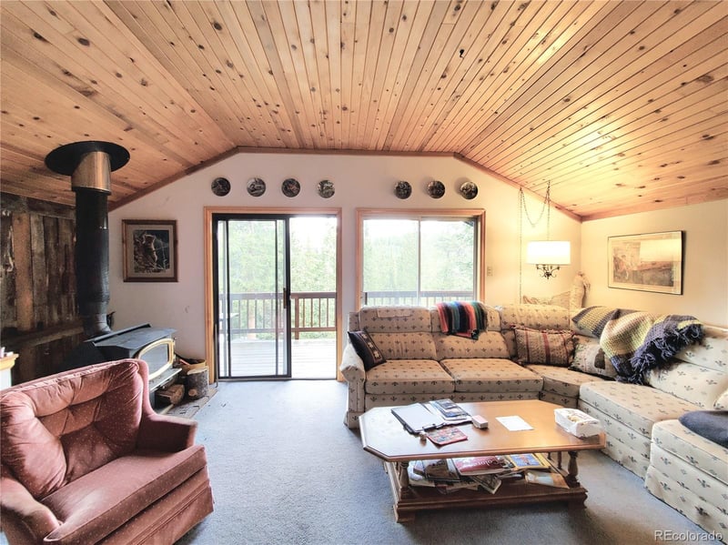 211 Pine Ridge Rd, Alma, CO 80420