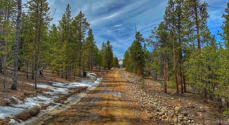48 Mount Massive Rd, Twin Lakes, CO 81251