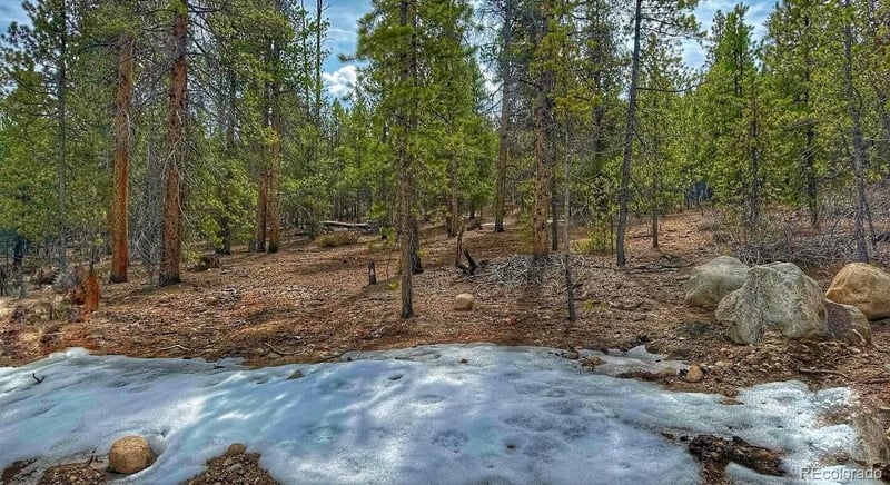 48 Mount Massive Rd, Twin Lakes, CO 81251