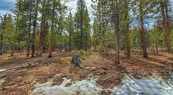 48 Mount Massive Rd, Twin Lakes, CO 81251