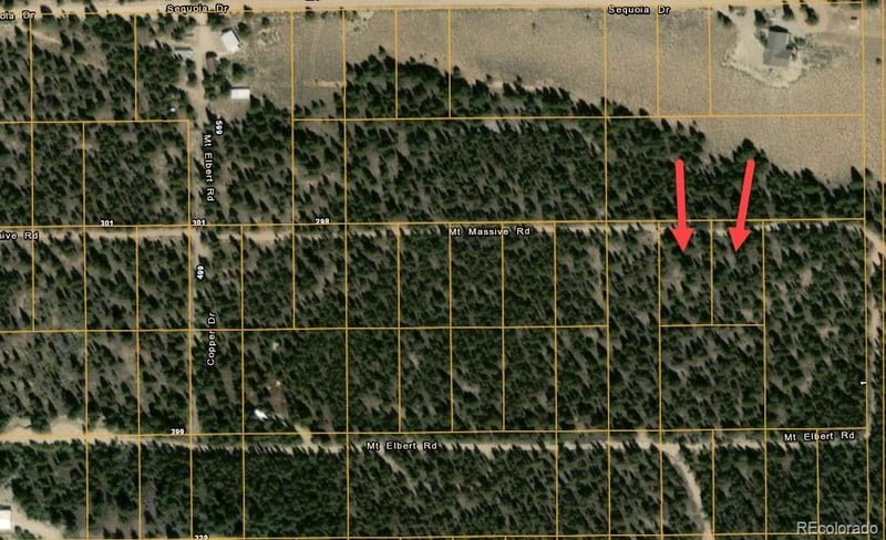 48 Mount Massive Rd, Twin Lakes, CO 81251