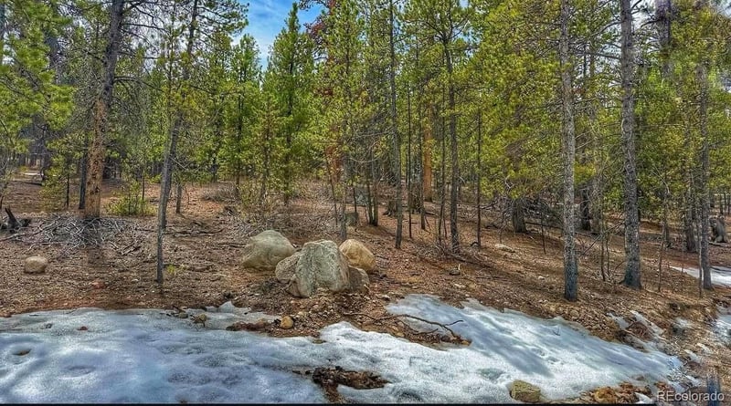 66 Mount Massive Rd, Twin Lakes, CO 81251