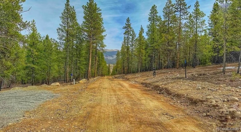 66 Mount Massive Rd, Twin Lakes, CO 81251