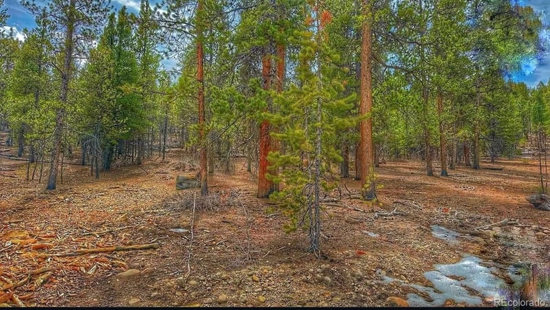 66 Mount Massive Rd, Twin Lakes, CO 81251