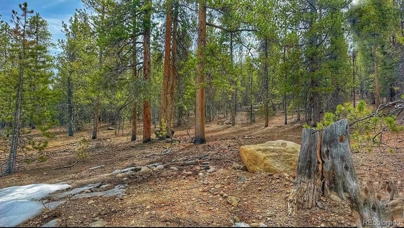 66 Mount Massive Rd, Twin Lakes, CO 81251