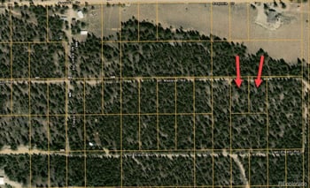 66 Mount Massive Rd, Twin Lakes, CO 81251