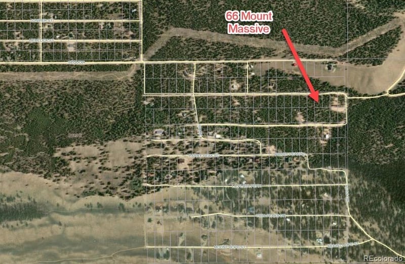 66 Mount Massive Rd, Twin Lakes, CO 81251