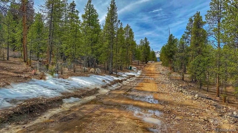 66 Mount Massive Rd, Twin Lakes, CO 81251