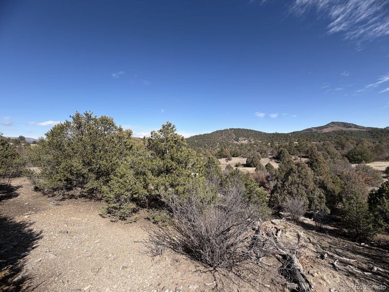 91 King Pl, Cotopaxi, CO 81223