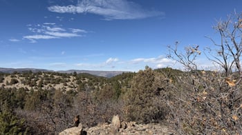 91 King Pl, Cotopaxi, CO 81223