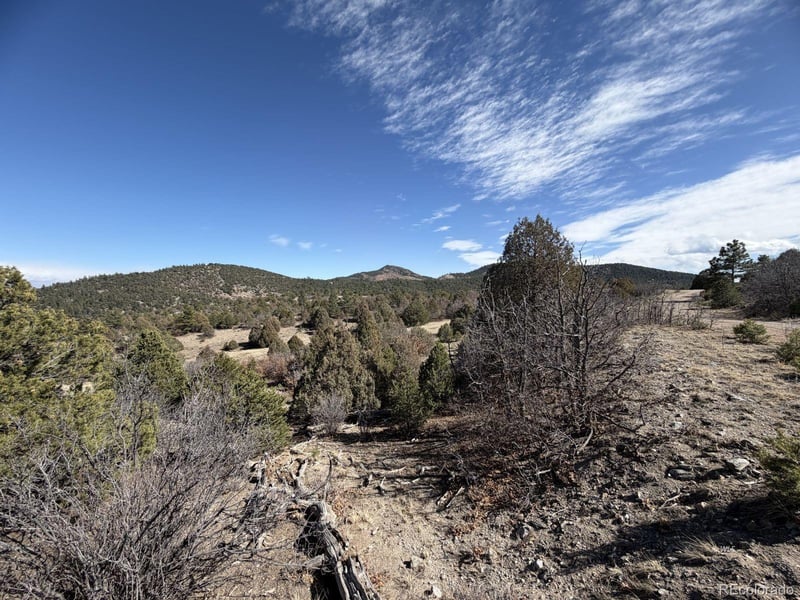 91 King Pl, Cotopaxi, CO 81223