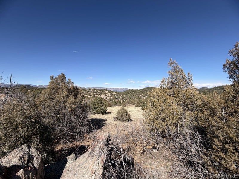 91 King Pl, Cotopaxi, CO 81223