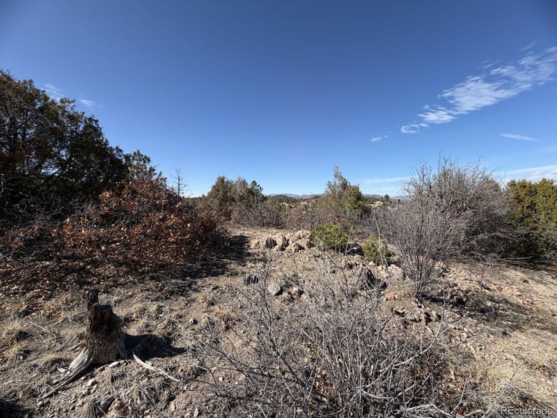 3412 Indian Wells Rd, Cotopaxi, CO 81223