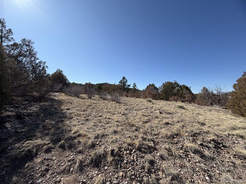 3412 Indian Wells Rd, Cotopaxi, CO 81223