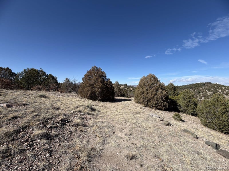 3412 Indian Wells Rd, Cotopaxi, CO 81223