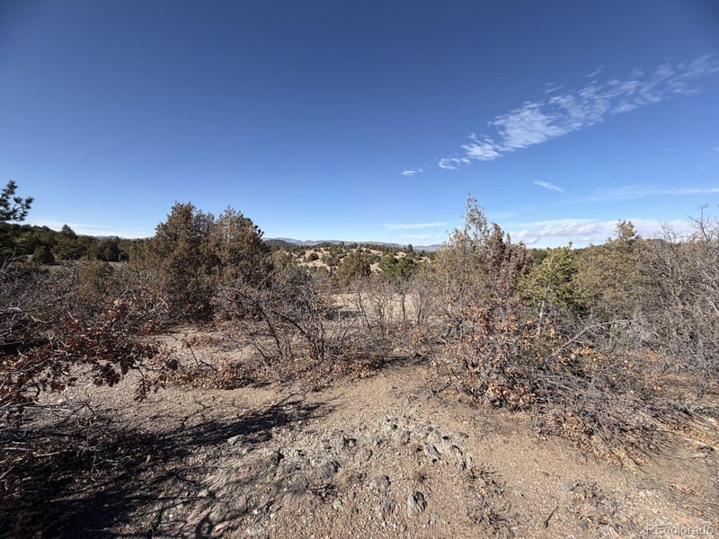 3412 Indian Wells Rd, Cotopaxi, CO 81223