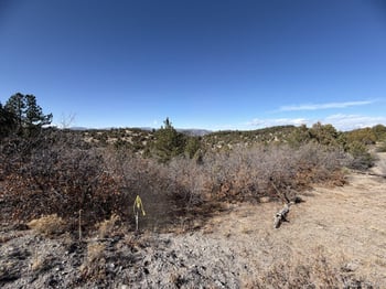 3412 Indian Wells Rd, Cotopaxi, CO 81223