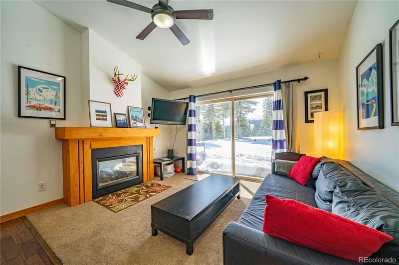 410 Bobcat Ln, Fairplay, CO 80440