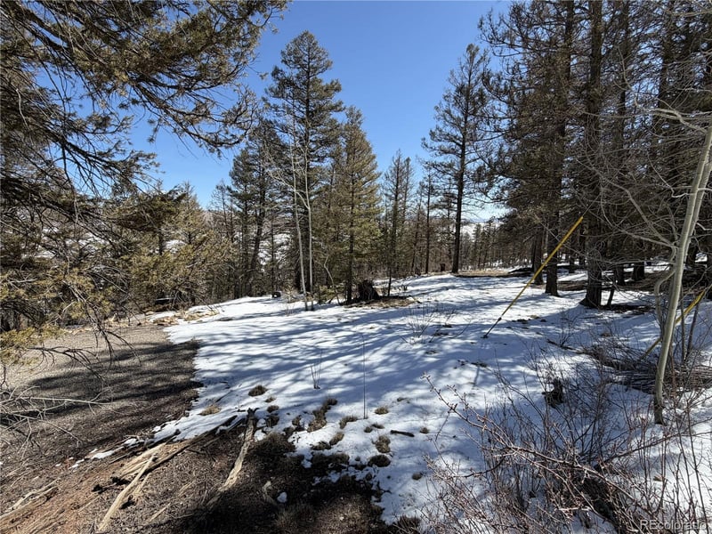 806 Middle Fork Vi, Fairplay, CO 80440