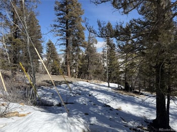 806 Middle Fork Vi, Fairplay, CO 80440