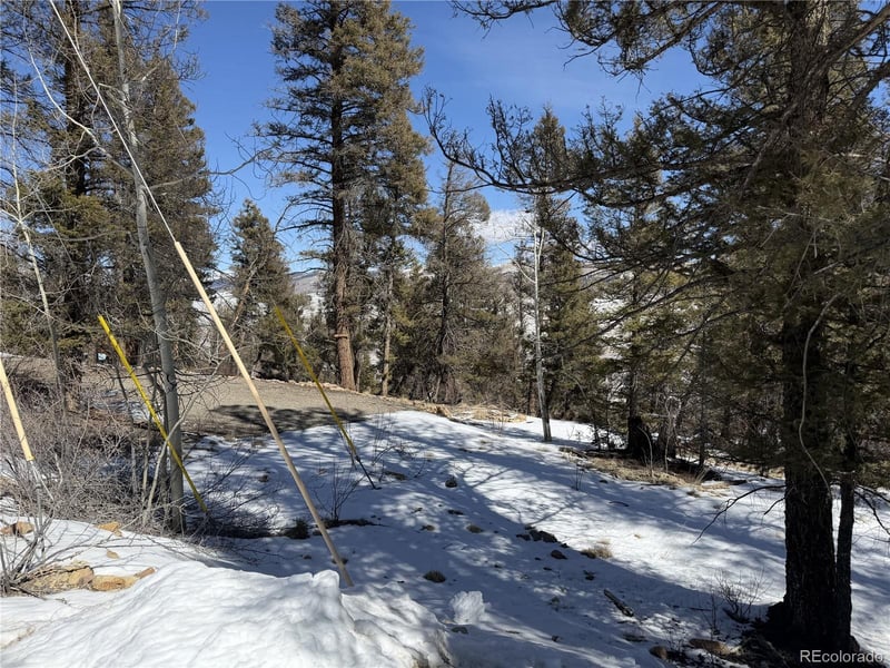 806 Middle Fork Vi, Fairplay, CO 80440