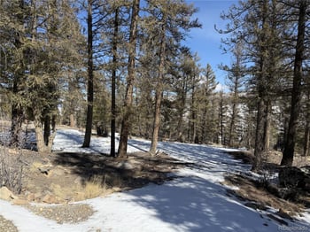 806 Middle Fork Vi, Fairplay, CO 80440