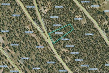 806 Middle Fork Vi, Fairplay, CO 80440