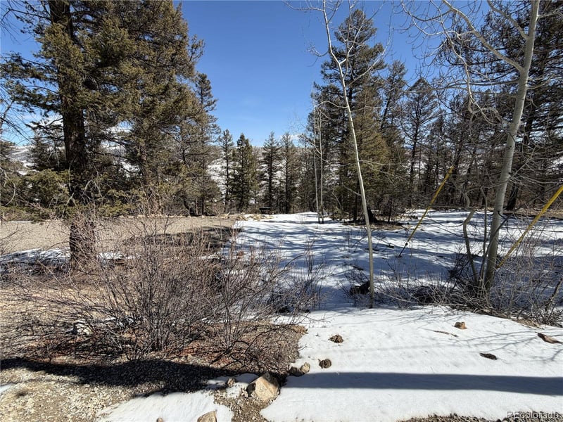 806 Middle Fork Vi, Fairplay, CO 80440