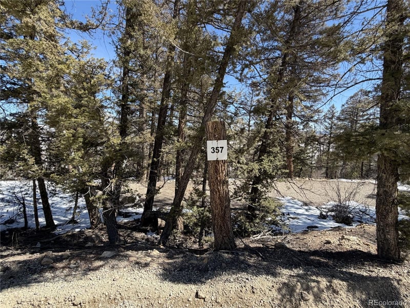 806 Middle Fork Vi, Fairplay, CO 80440