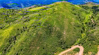 Lot 38 Raspberry Mountain Ranch, La Veta, CO 81055