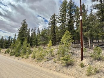 2601 Redhill Rd, Fairplay, CO 80440