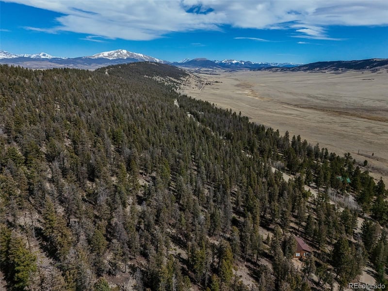 2601 Redhill Rd, Fairplay, CO 80440