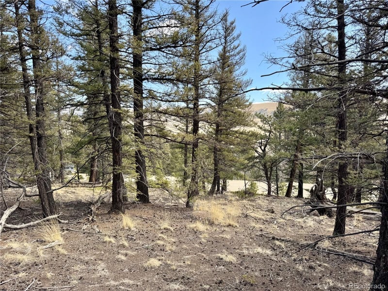 2601 Redhill Rd Lot 045, Fairplay, CO 80440