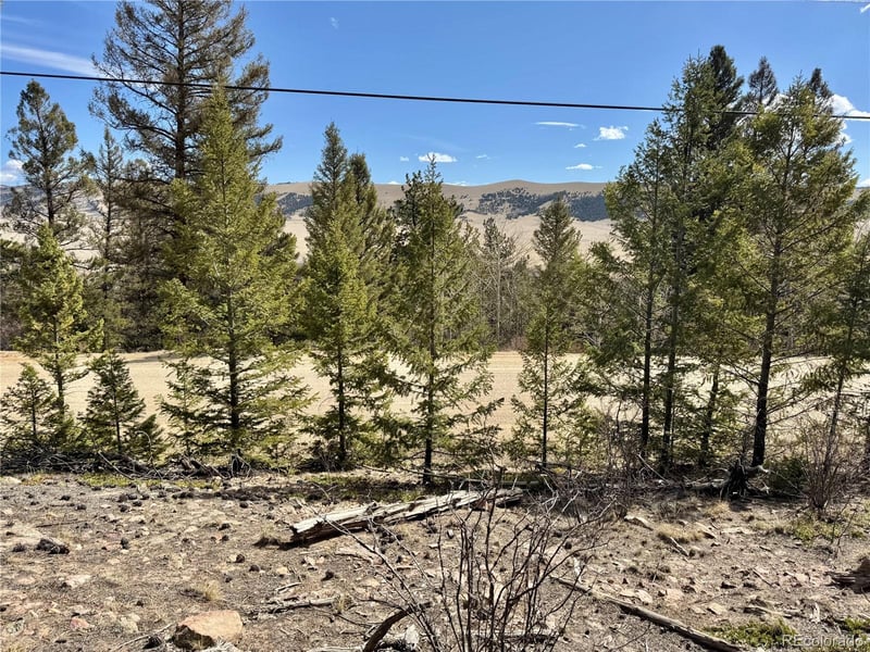 2601 Redhill Rd Lot 045, Fairplay, CO 80440