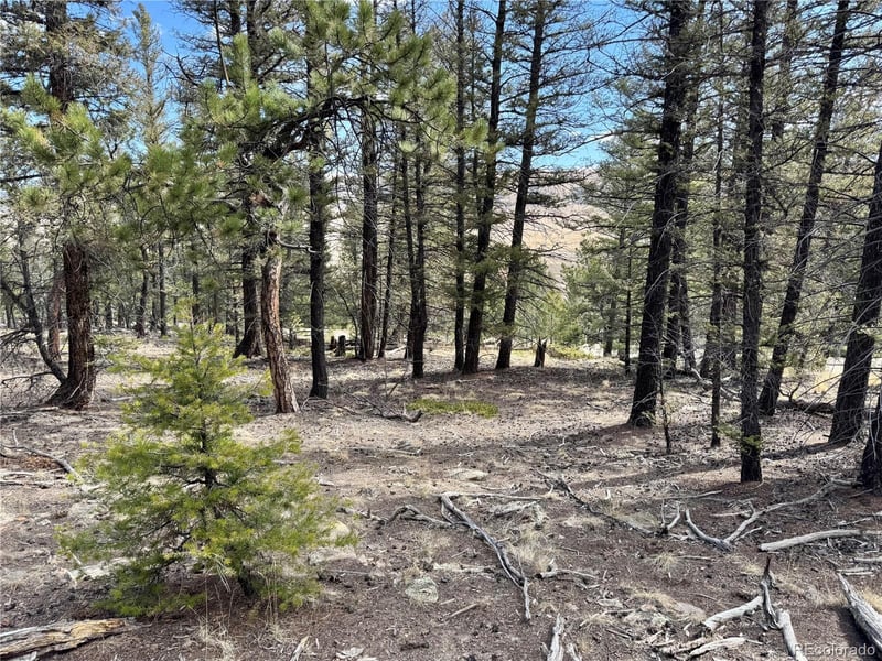 2601 Redhill Rd Lot 045, Fairplay, CO 80440