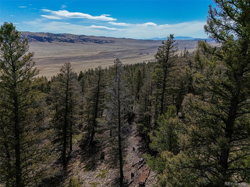 2601 Redhill Rd Lot 045, Fairplay, CO 80440