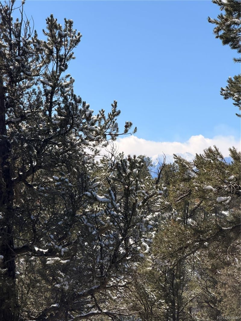 000 41st Trl, Cotopaxi, CO 81223