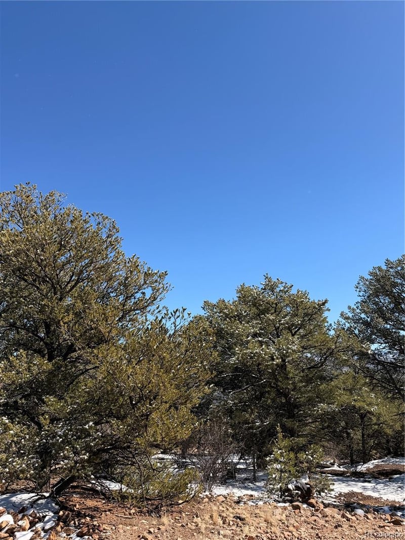 000 41st Trl, Cotopaxi, CO 81223