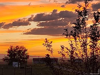 45152 County Road 33, Pierce, CO 80650