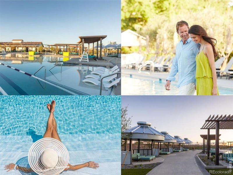 1956 Blossom Grove Dr, Windsor, CO 80550