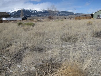 28679 Westwinds Pl, Buena Vista, CO 81211