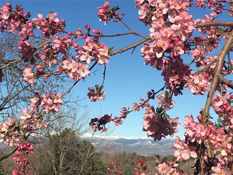 6805 Harrison St, Centennial, CO 80122