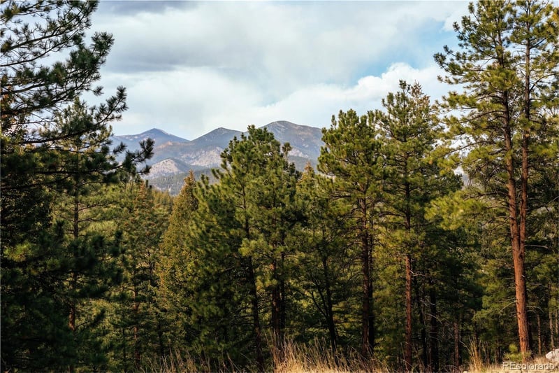 26885 Mountain Park Rd, Evergreen, CO 80439