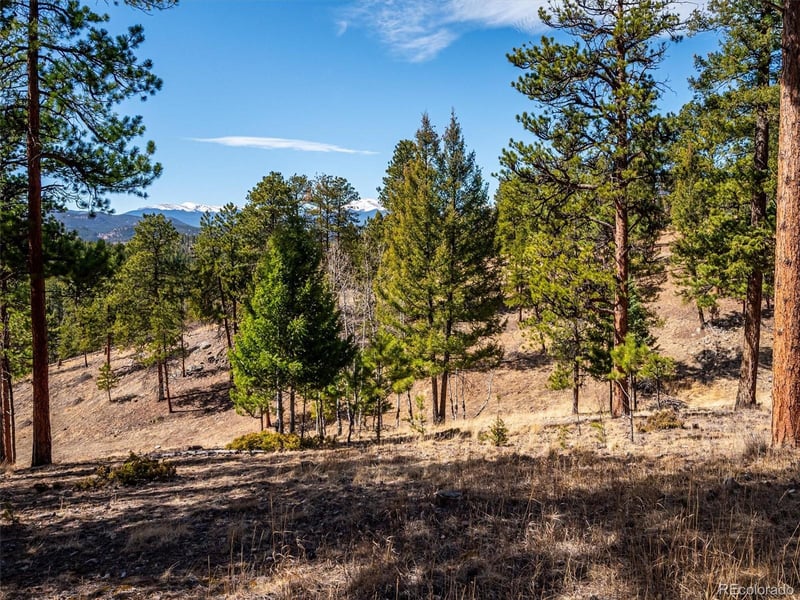 13623 Wamblee Valley Rd, Conifer, CO 80433