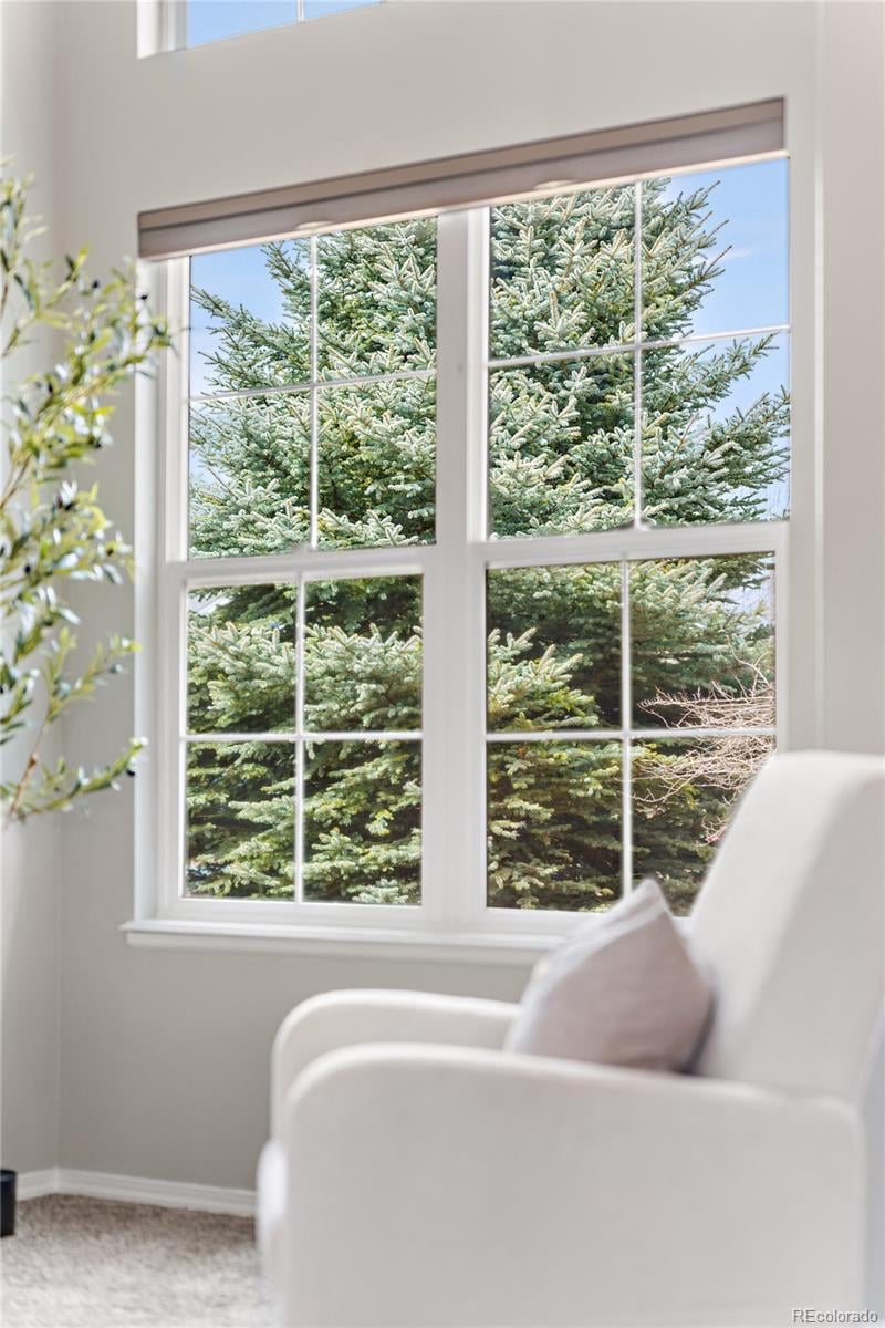 7125 Grand Prairie Dr, Colorado Springs, CO 80923