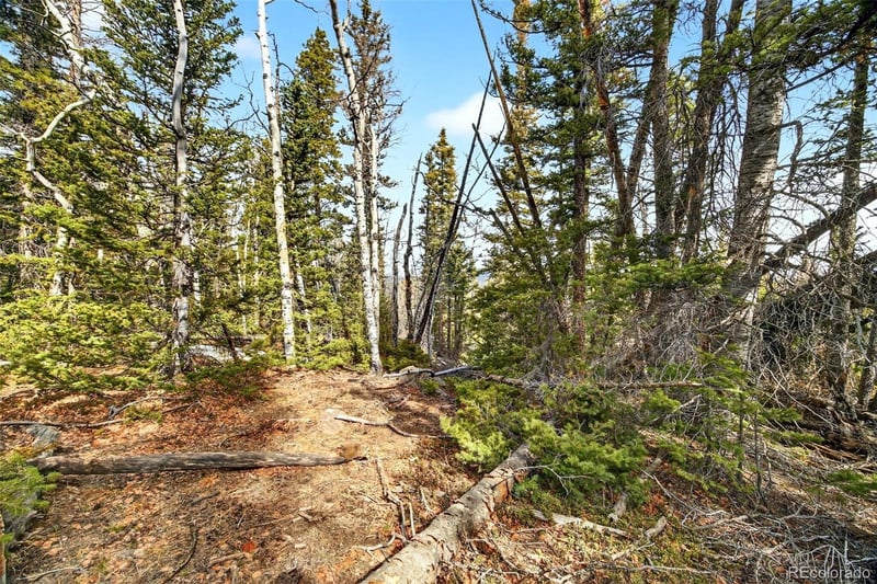 Georgia Pass Lookout Rd, Jefferson, CO 80456